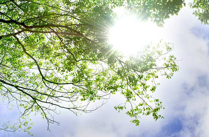 地中熱補助金のエコなイメージ