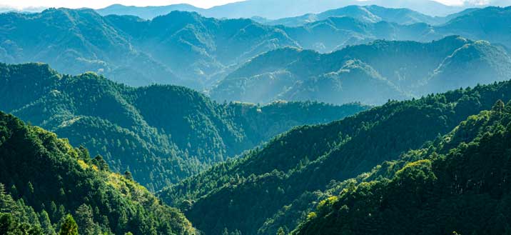 埼玉県補助金イメージ