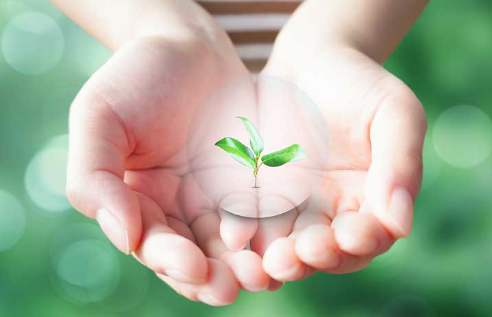 エコ補助金イメージ