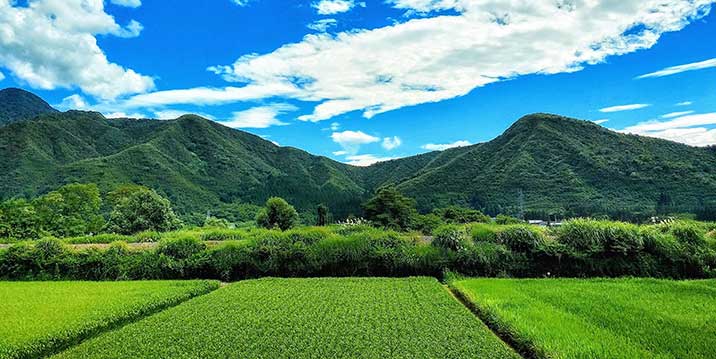 魚沼市再生可能エネルギー補助金イメージ