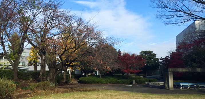 狭山市地中熱補助金