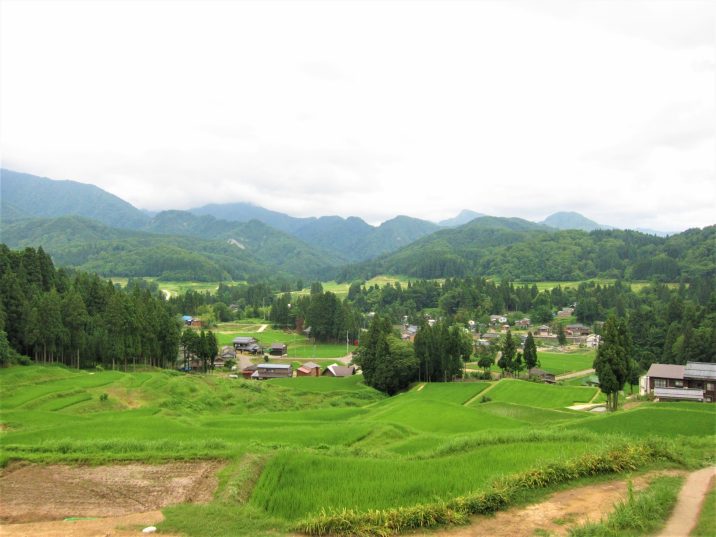 新潟県補助金イメージ