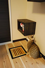 猫ちゃんと吹き出し口